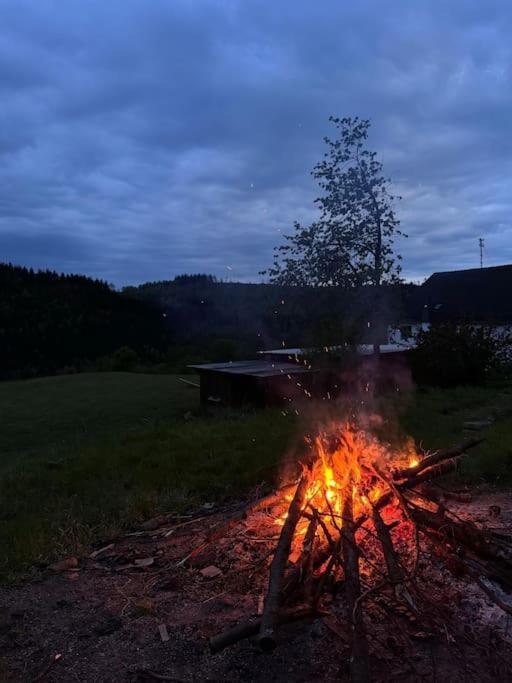 Bornhahn - Idylle Im Westerwald Katzwinkel  Eksteriør billede