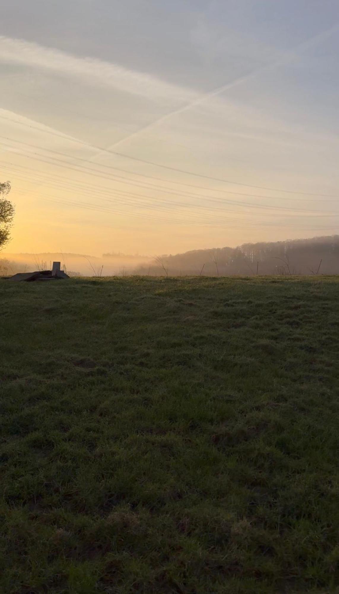Bornhahn - Idylle Im Westerwald Katzwinkel  Eksteriør billede